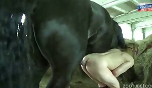 Hot beastiality tube scene with raw anal. Free bestiality and ...   