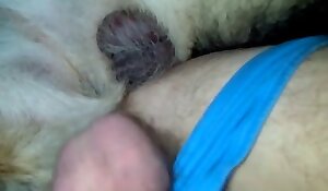 fucking videos with bestiality anal bestiality sex movies