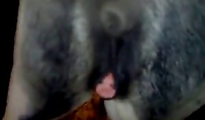 close up xxx zoo porn records horse beastiality free porn