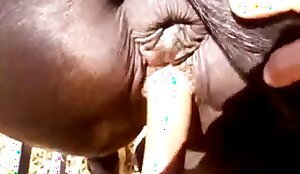 sex so zvieratami porno zadarmo