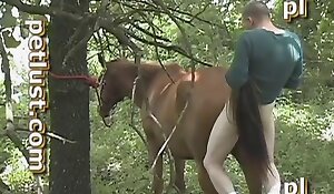 outdoors zoofilia records, sex with animals porn free