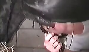 seks ze zwierzętami porno za darmo