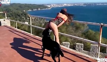 sexo entre chicas y animales,video porno de perros