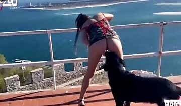 quan hệ tình dục giữa con gái và động vật,video khiêu dâm chó