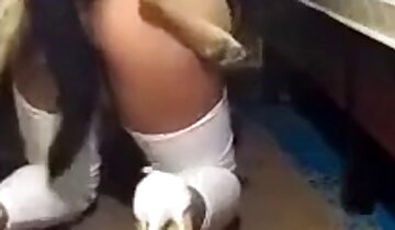 homofil zoo-porno,zoofili sex