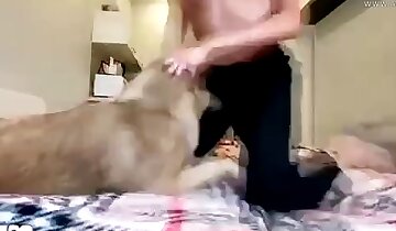 Tier fickt Frau,Tier-Sexvideo