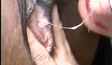 seksi sarışın orospular,en ateşli hayvanat bahçesi pornosu