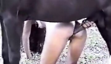 scènes de sexe en gros plan,vidéo de sexe animal