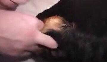 zoo porn clips,close up sex scenes