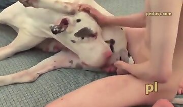 hayvanla sevişen adam,köpek seksi