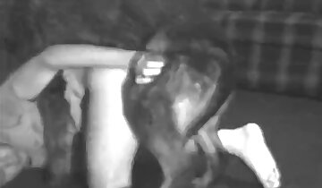 pornografia de bestialidade anal,animal fode mulher