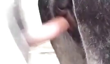 koňské xxx porno,souloží se zvířaty