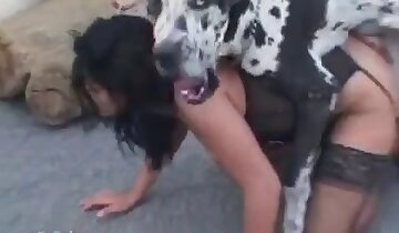 trdo muco jebemti,živalski porno video