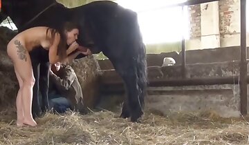 veliki kurci,zoo-porno posnetki