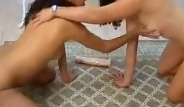 zoophilie sauvage sexe,sexe entre filles et animaux