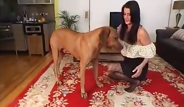 少女と動物のセックス,犬のポルノビデオ