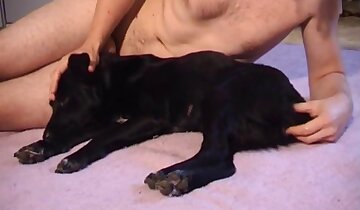 eşcinsel hayvanat bahçesi pornosu,hayvanla sevişen adam