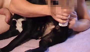 phim khiêu dâm sở thú đồng tính,người đàn ông đang quan hệ với động vật
