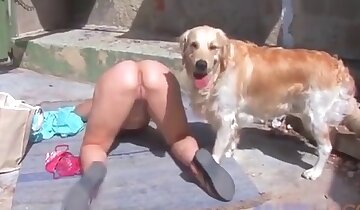sesso tra ragazze e animali,sesso canino