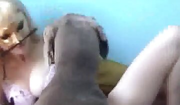 zoophilie sexuelle,vidéo porno zoophilie