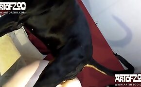 dog bestiality, zoophilia fuck porn