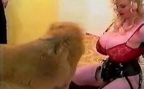 dog bestiality, blowjob