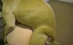 sex with animals, dog bestiality