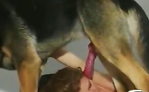 fucking with animals, dog bestiality