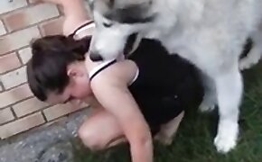 dog bestiality, fucking with animals