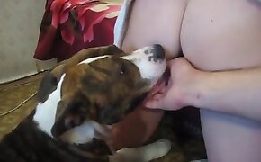 dog bestiality, zoophilia fuck porn