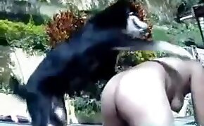 dog bestiality, zoophilia fuck porn