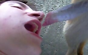 zoophilia videos, gay bestiality