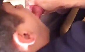 zoophilia fuck porn, females