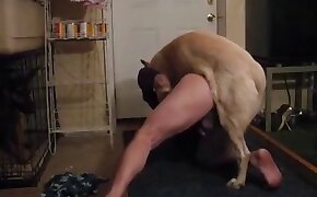 zoophilia videos, gay bestiality