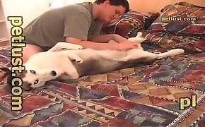 gay bestiality, beastiality videos