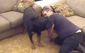 guy fucks animal, zoophilia fuck porn