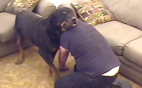 guy fucks animal, zoophilia fuck porn