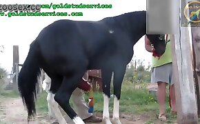 pony, zoophilia fuck porn