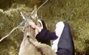 animal fucks girl, gets