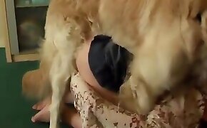 zoo porn videos, sex with animals