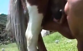 beautiful, women fuck animals