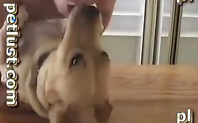 seductive, women fuck animals