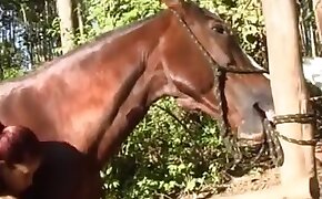 experience, ultimate