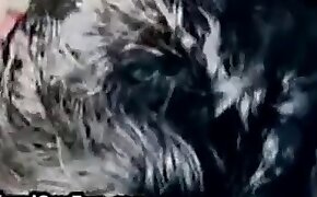 stunning, zoo porn videos