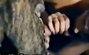 stunning, zoo porn videos