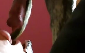 stunning, women fuck animals