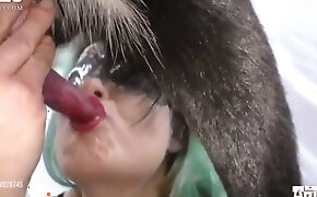 intense, animal porn