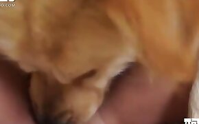 high-quality, intimacy