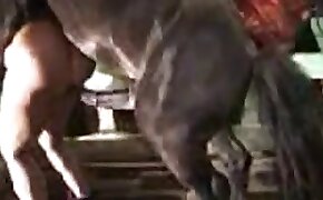 fucking with animals, mare