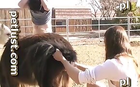 fucking with animals, animal porn